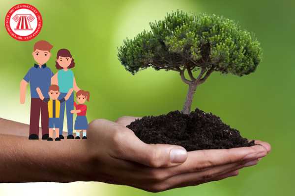 Bảo vệ môi trường là trách nhiệm của ai? Trách nhiệm của hộ gia đình, cá nhân đối với công tác bảo vệ môi trường như thế nào?