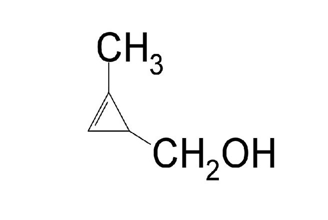 Cấu trúc của ancol