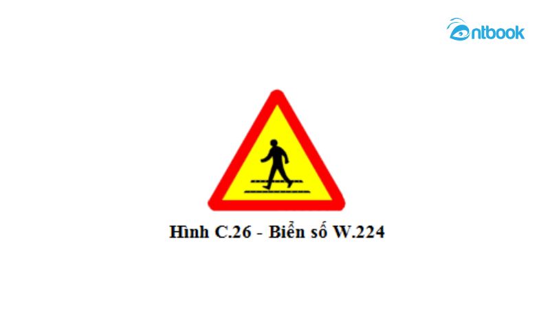 nhường đường cho người đi bộ