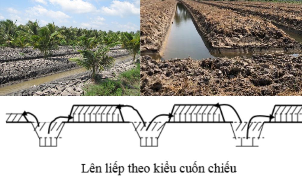 dat man trong cay gi 9