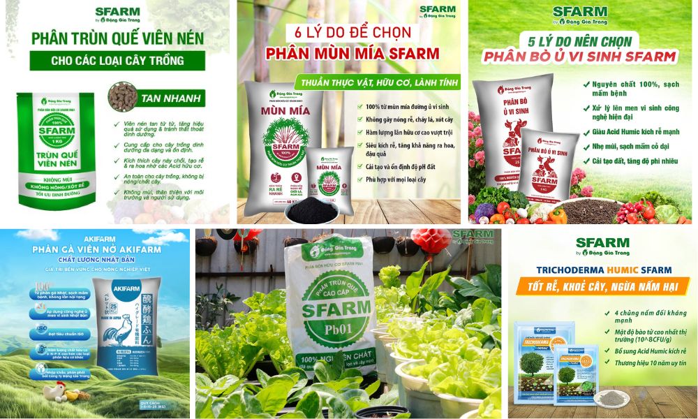 dat man trong cay gi 10