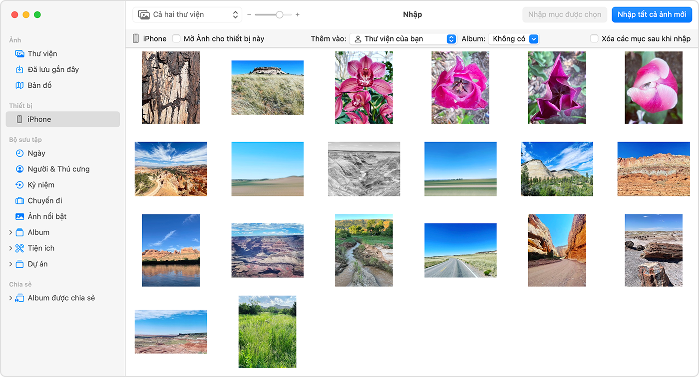 Màn hình máy Mac hiển thị những ảnh có thể nhập
