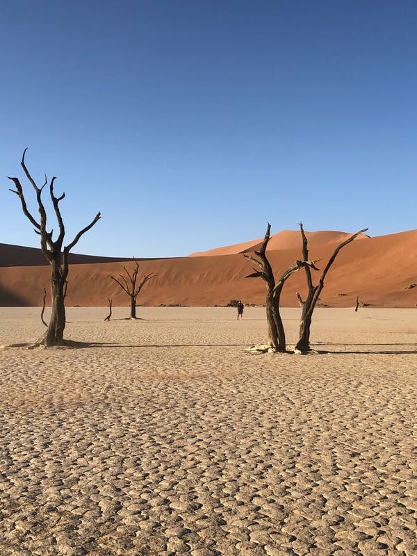 Độ tương phản kết cấu