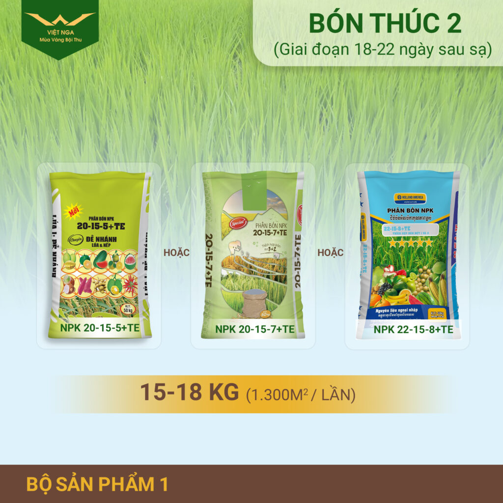 Cách bón thúc sao cho hiệu quả