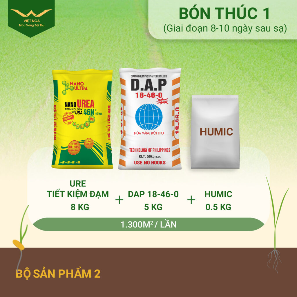 Bón thúc là gì ? Cách bón thúc hiệu quả đúng cách