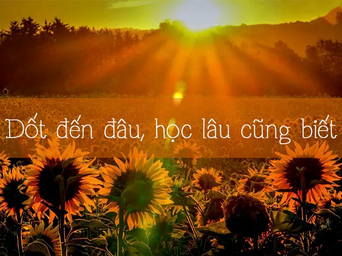 voh-ton-su-trong-dao-3