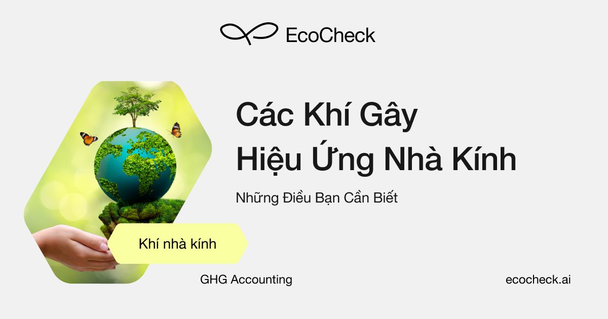 Các khí gây hiệu ứng nhà kính: Những điều bạn cần biết
