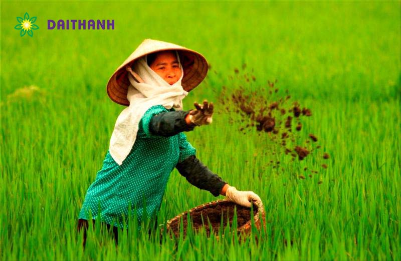 các biện pháp chăm sóc cây trồng