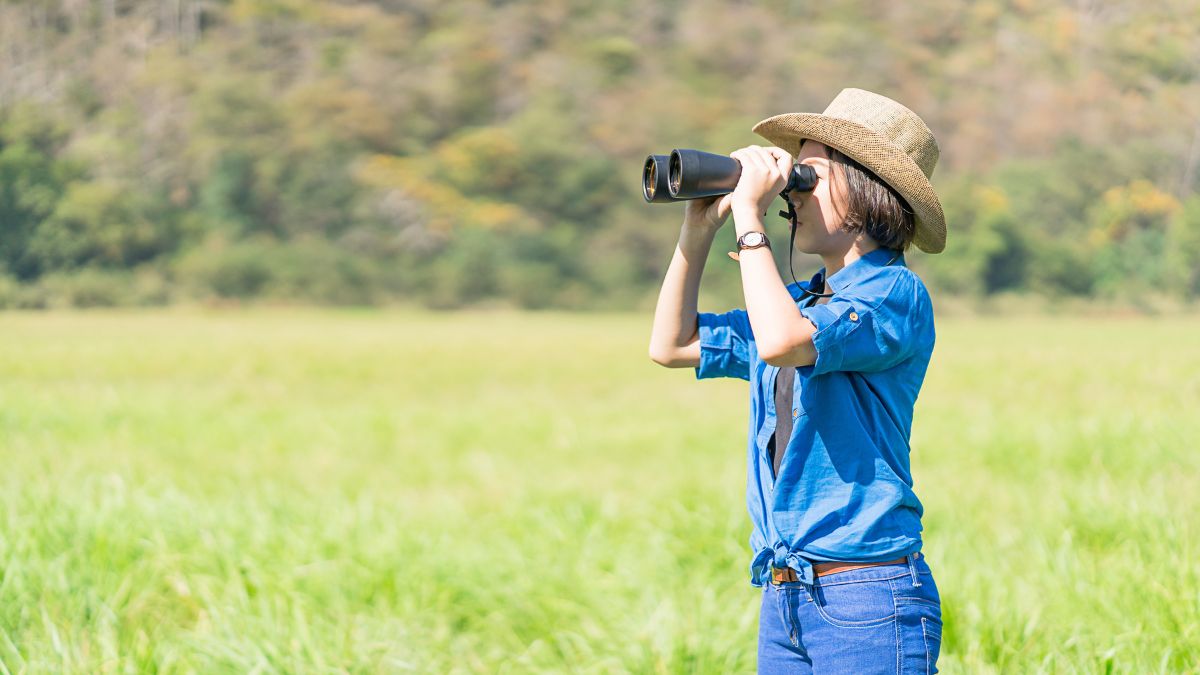 Không để mục tiêu giữa ảnh là tips chụp ảnh đẹp