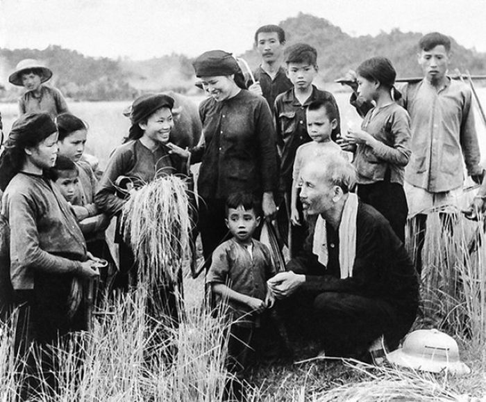 Hình ảnh Chủ tịch Hồ Chí Minh ra đồng cùng nông dân gặt lúa tại Hùng Sơn, Đại Từ, Thái Nguyên