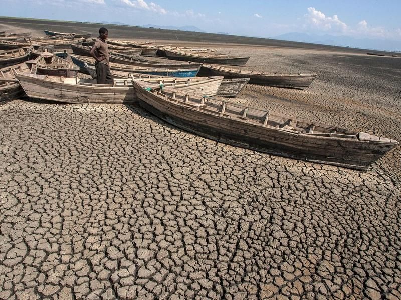 Nhiệt độ cao dẫn tới hạn hán, thiếu nước, cháy rừng và nhiều tác hại xấu khác