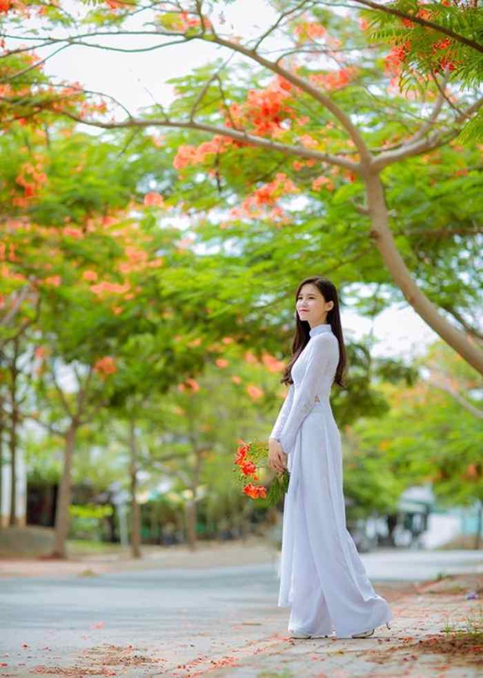 Chụp hình tốt nghiệp cùng hoa phượng đỏ