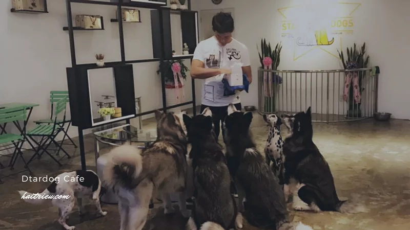 quan ca phe noi tieng tan tai tphcm