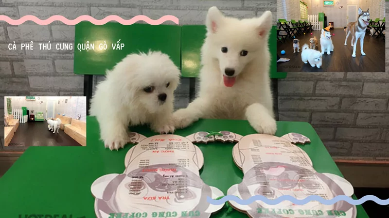 quan ca phe thu cung