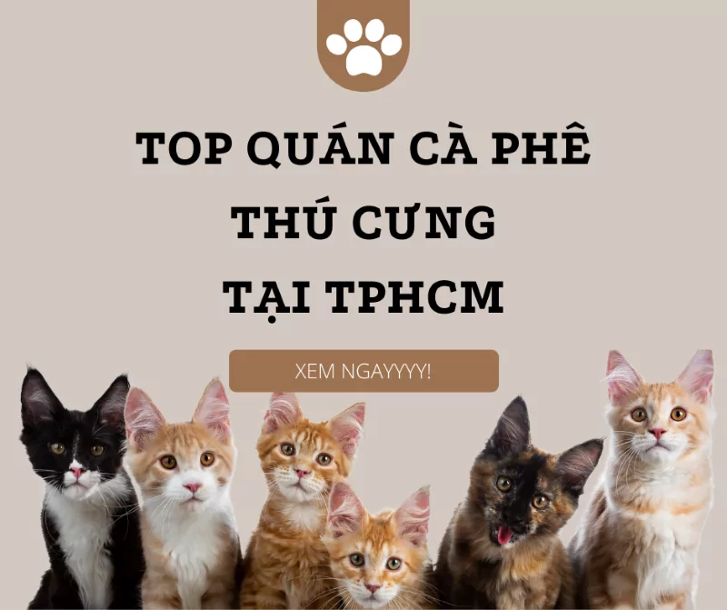 14 quán cafe thú cưng ở Sài Gòn siêu dễ thương, đáng yêu