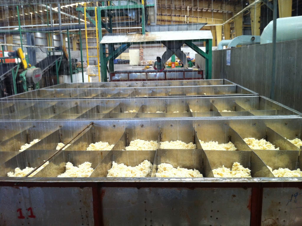 Xử lý nguyên liệu thu hoạch