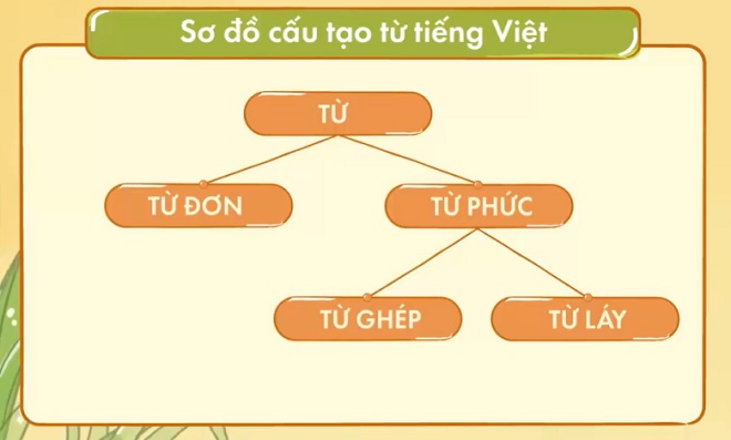 Đặc điểm cấu tạo từ trong tiếng Việt. (Ảnh: Sưu tầm internet)