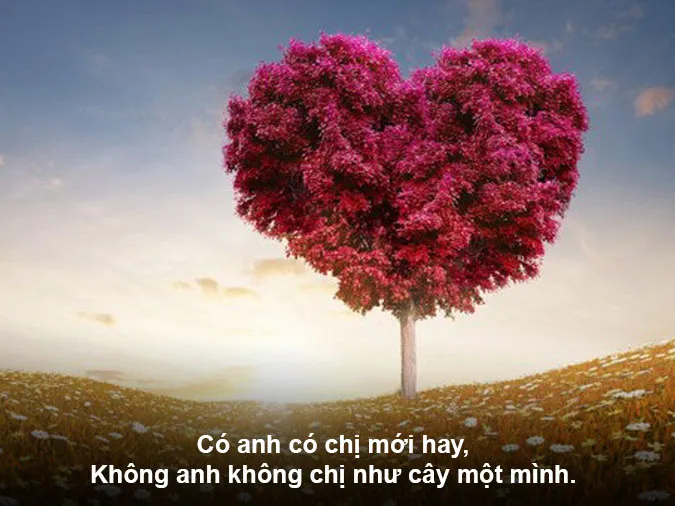 ca-dao-tuc-ngu-ve-yeu-thuong-con-nguoi-voh-4