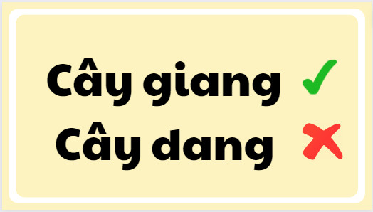 Cây dang hay cây giang đúng chính tả?