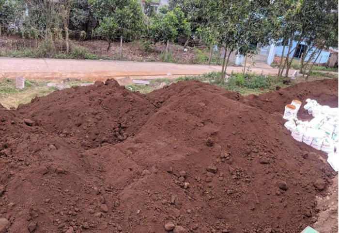 Đất phù sa trồng mía