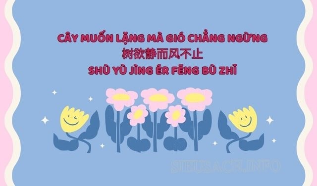 Giải thích ý nghĩa câu nói "Cây muốn lặng mà gió chẳng ngừng"