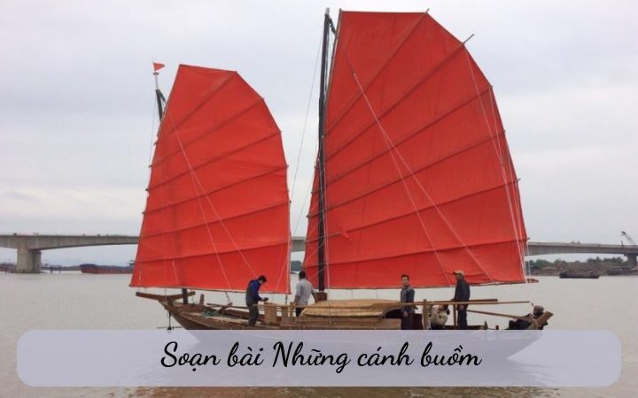 Trà Đạp Hay Chà Đạp