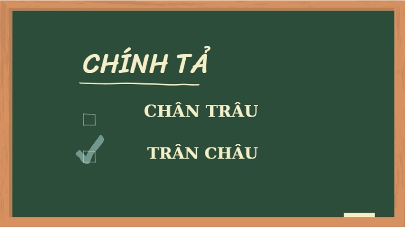 Chân trâu hay trân châu là đúng chính tả?