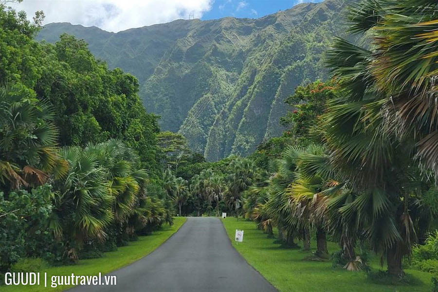 Tiểu bang đảo duy nhất của Mỹ