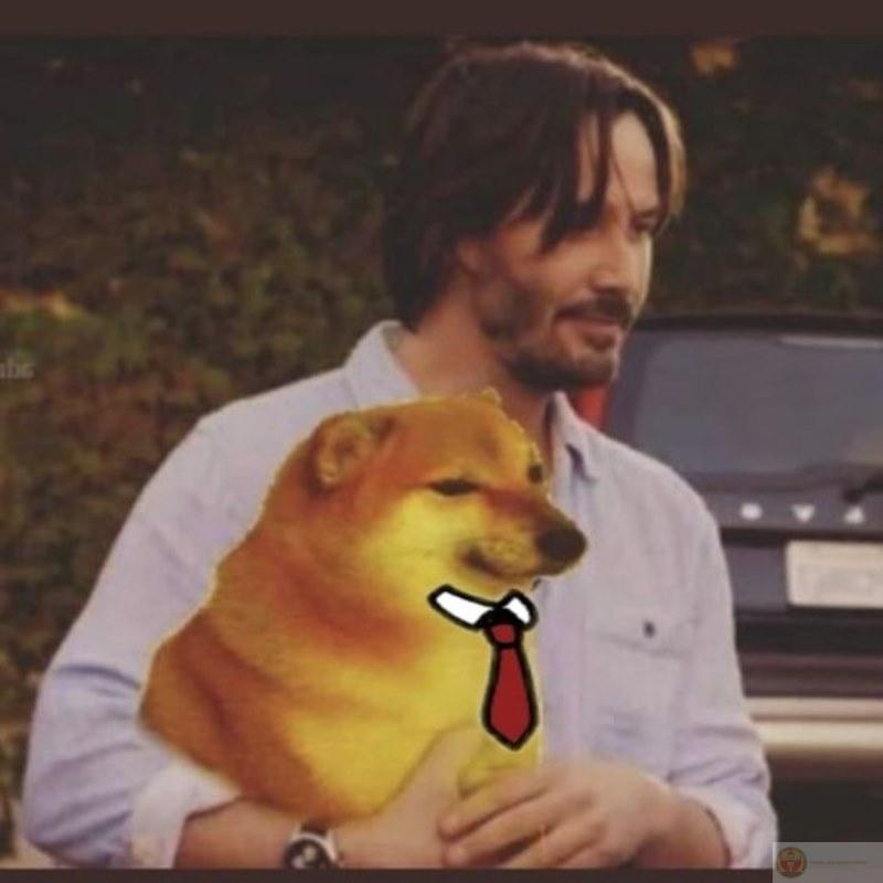 Tui định nói gì đó hay lắm, nhưng quên