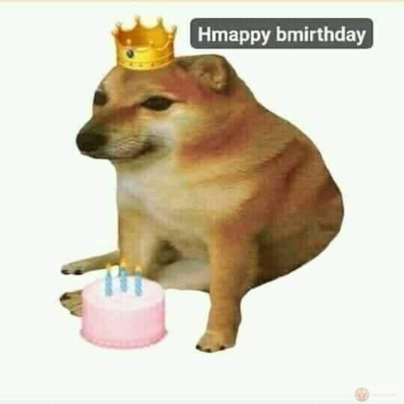 Tui đang nói nghiêm túc mà tụi nó cười