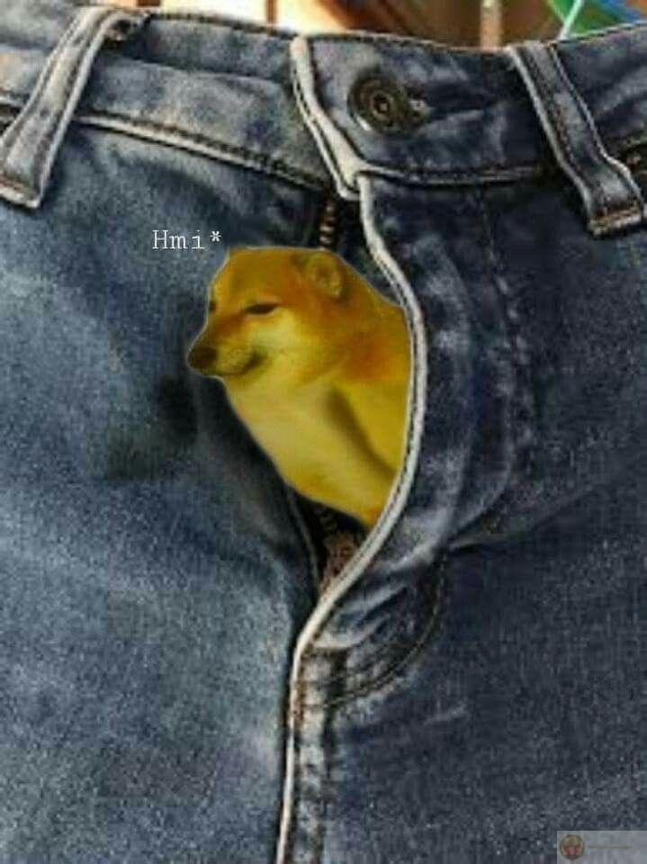 Me know nothing but still contribute loud