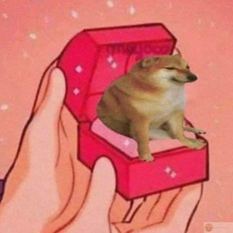 Me just want bunger but life say no