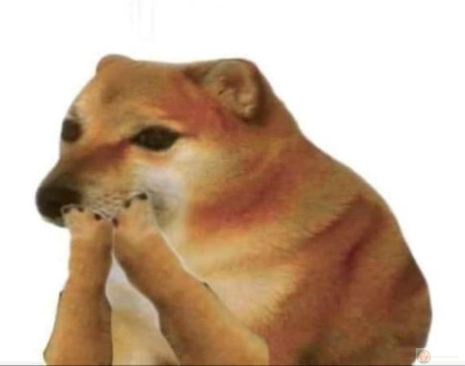 Me after trying to be smort for 5 mins