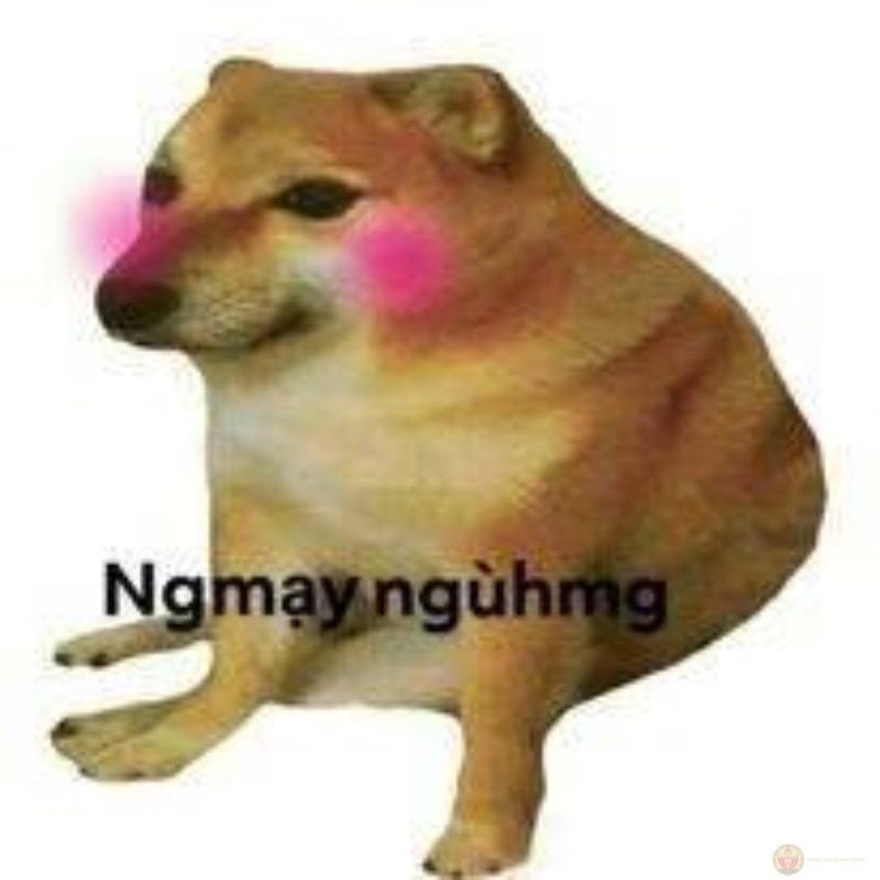 Lỡ sai chính tả một lần, mạng gọi là Cheems