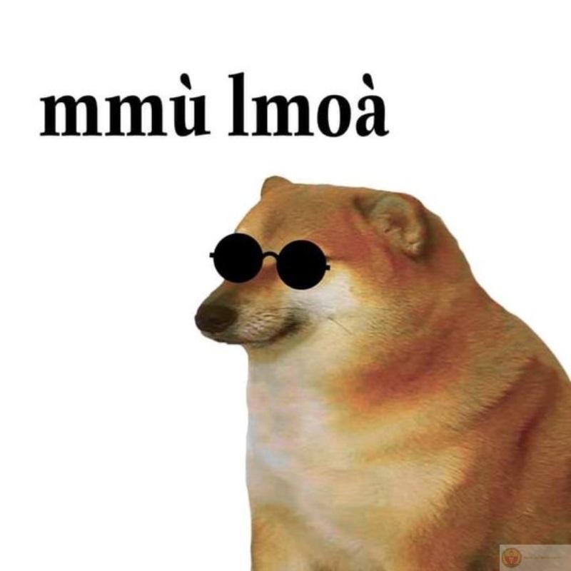 Gương mặt đáng tin nhưng lời nói không chắc