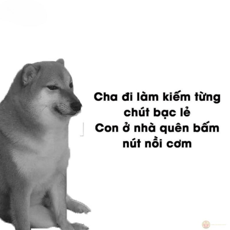 Cheems là phong cách sống, không phải lỗi sai
