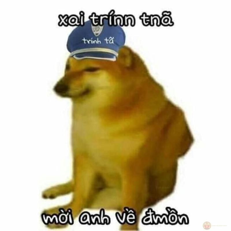 Meme Cheems cơ bắp