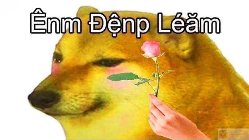 Cheems dùng ngôn từ như đang chơi rubik sai cách