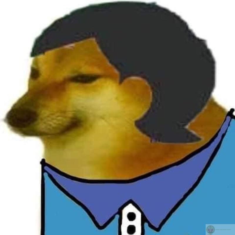 Tui quên mất ngôn ngữ loài người rồi á