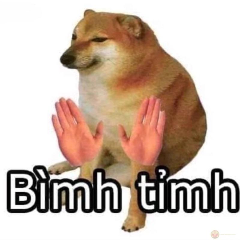 Tui nghĩ đúng, mà nói thành Cheems