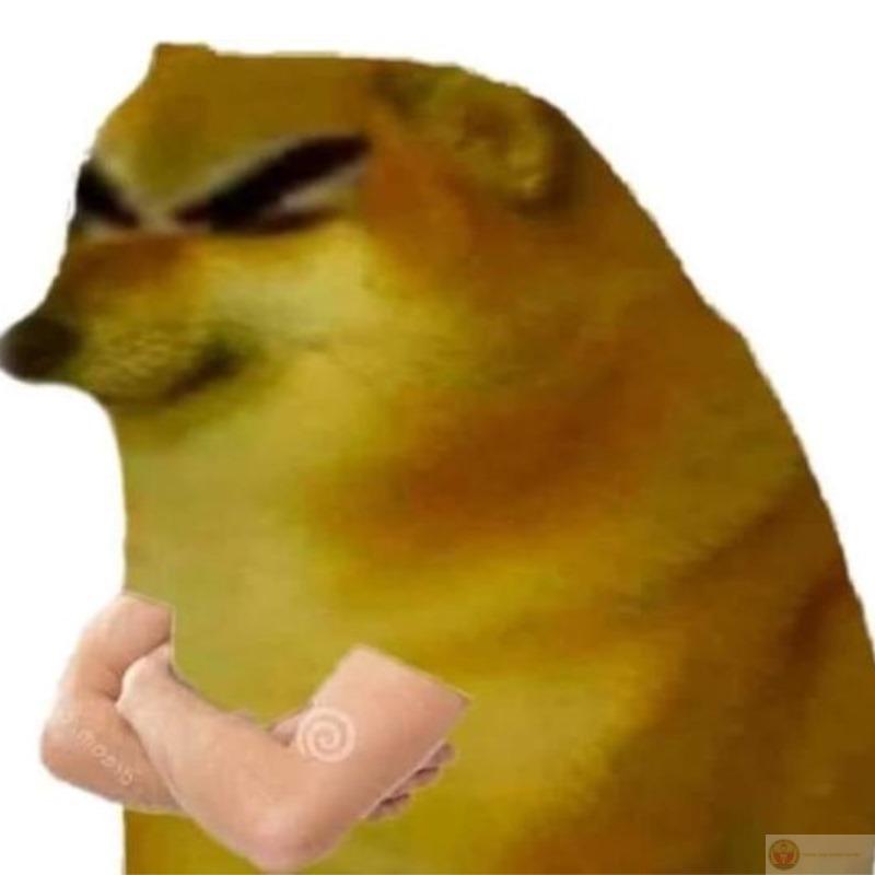 Tui mở miệng ra là biết Cheems đang nói