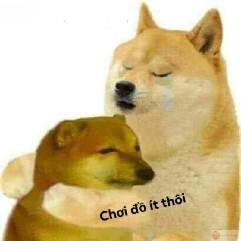 Tui không nói sai, chỉ phát âm theo cảm xúc