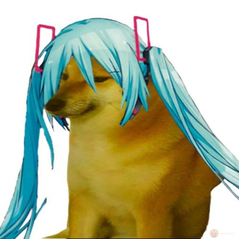 Cheems version học sinh: nói bậy nhưng điểm cao