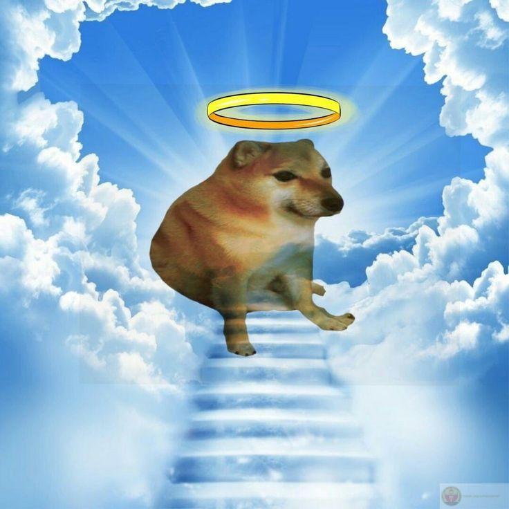 Tui định nói hay lắm, mà quên sạch