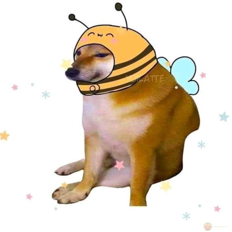 Gương mặt này đủ sức phá tan lớp học