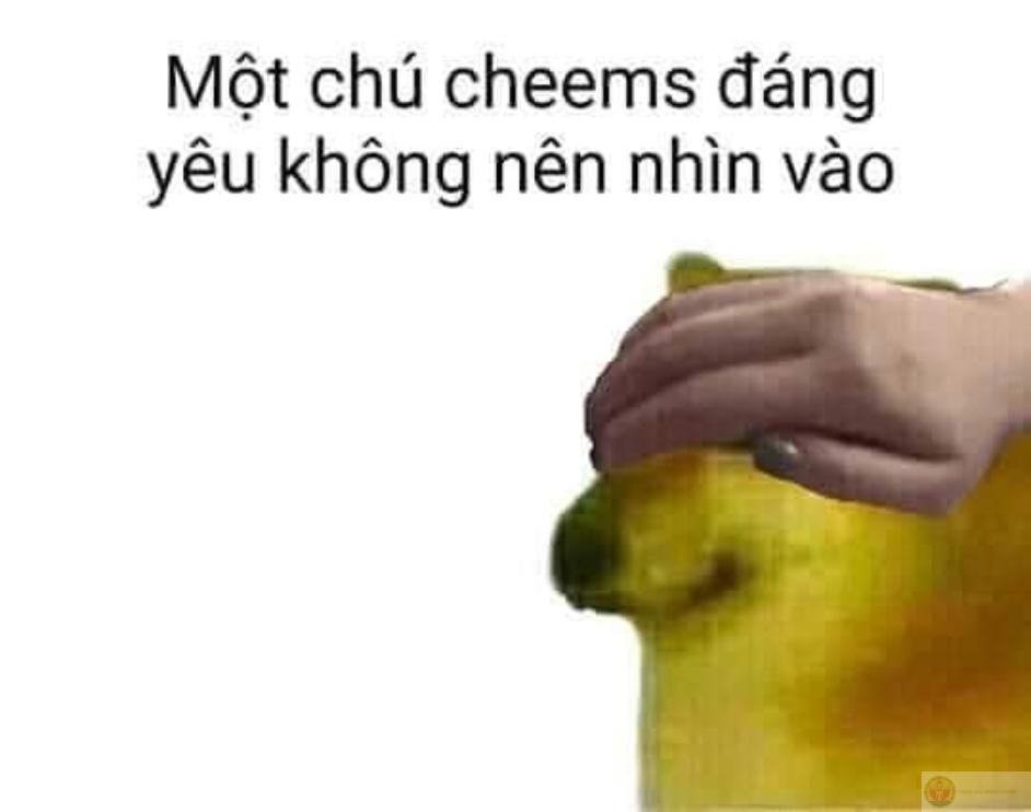 Ảnh meme cheem cheems