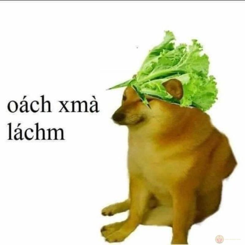 Mỗi lần trả lời là giáo viên thở dài