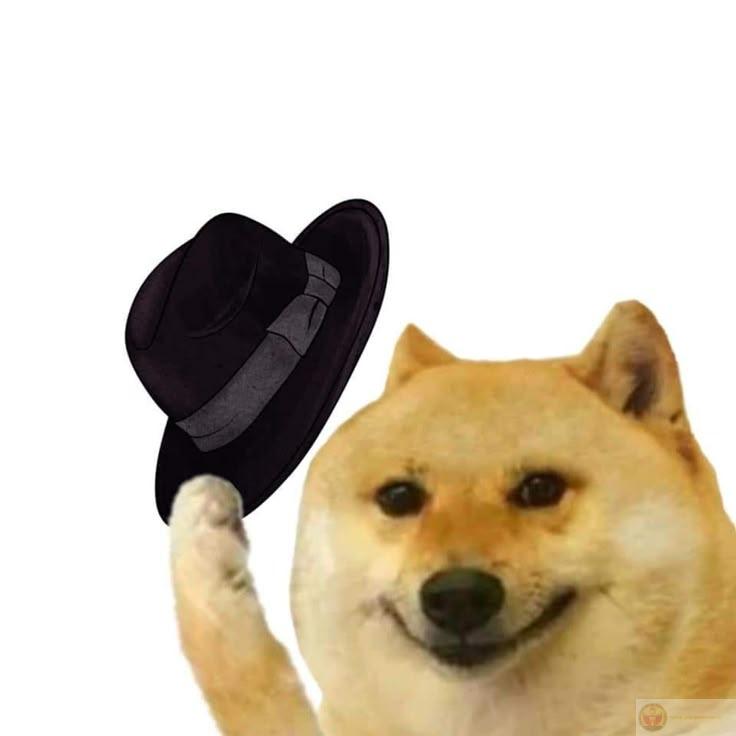 Me studying: focus five minutes, dream two hours