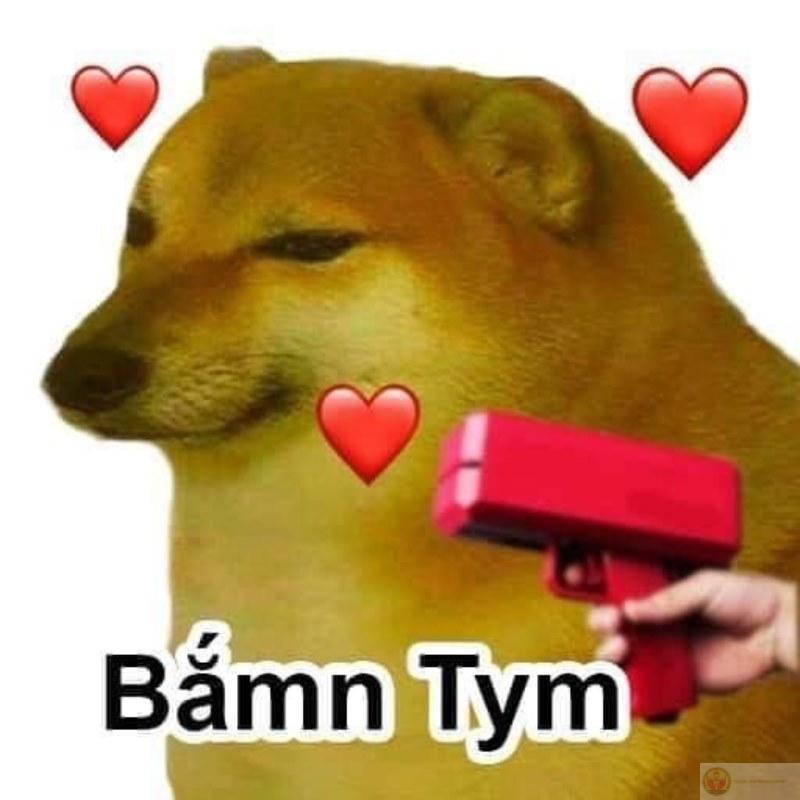 Me talking like professor but saying nonsense