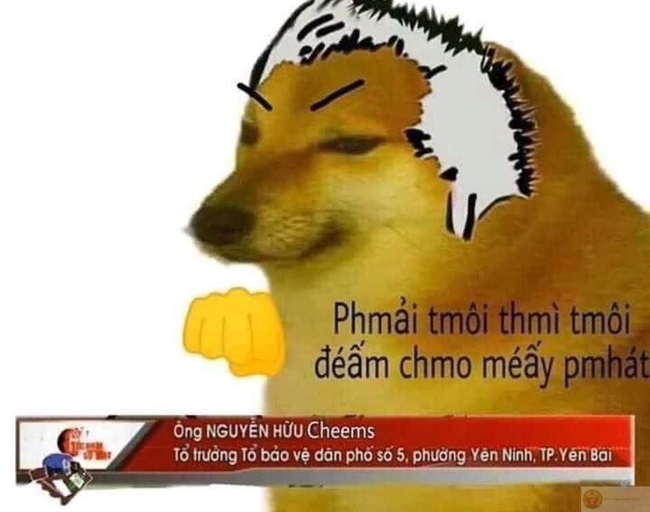 Me when brain say yes but mouth say no